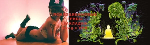 прущие грибы Аркадак