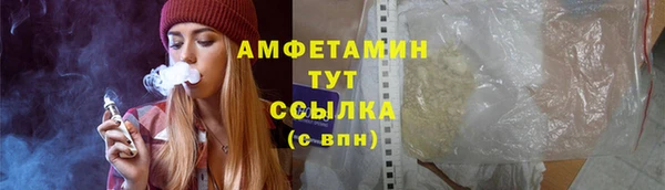 прущие грибы Аркадак