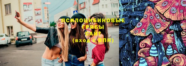 твердый Зеленокумск