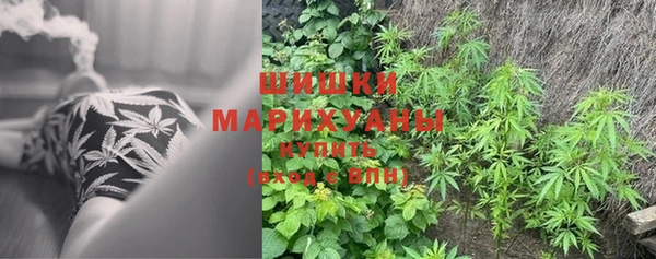 сатива Арсеньев
