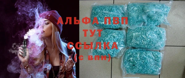 прущие грибы Аркадак