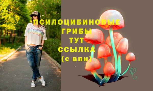 дурь Армянск