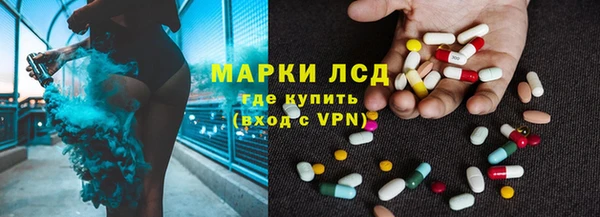 сатива Арсеньев