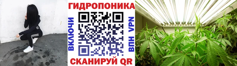 Бошки марихуана Bruce Banner Артёмовский